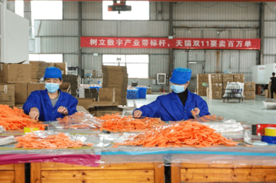 天貓雙11開門紅 產業帶爆發式增長，7個產地首小時銷售額破億，日用百貨引領消費熱潮